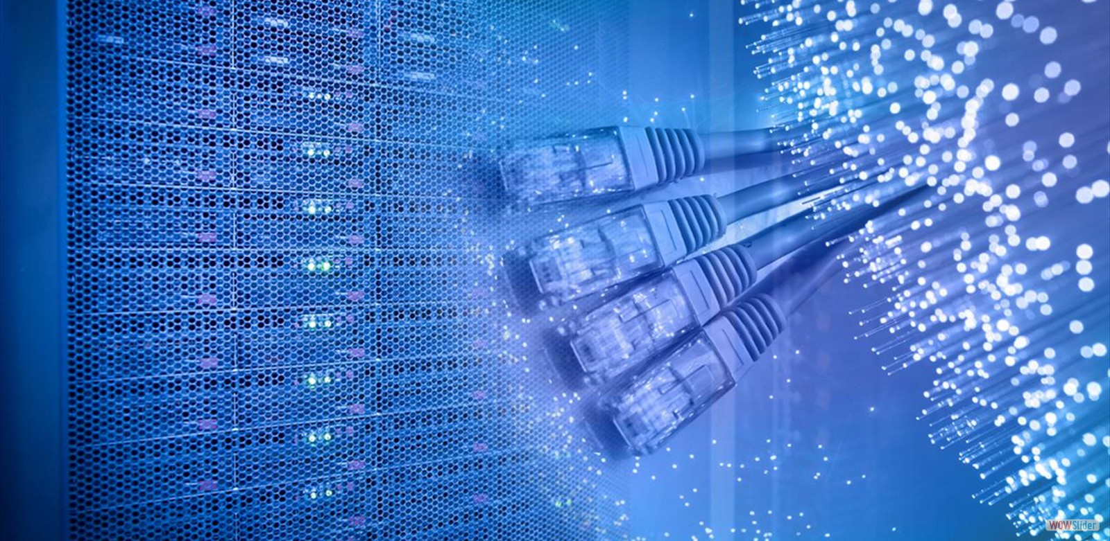 bg_nl_networking